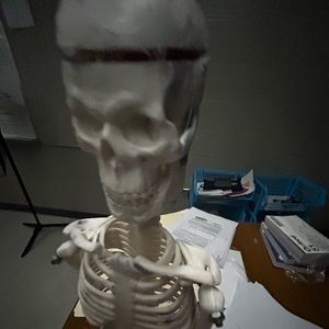 Meet your Posher, Lori